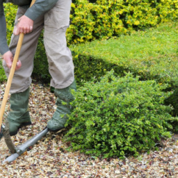 Système d’arrosage connecté : la technologie au service de votre jardin Saint-Michel-sur-Orge