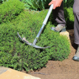 Aménagement de jardin sur balcon : végétalisez votre espace Macouria