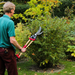 Gazon naturel ou synthétique : lequel choisir ? Chelles