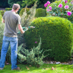 Entretien de jardin en milieu urbain : techniques et astuces Petit-Couronne