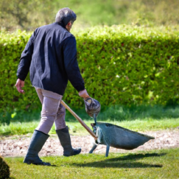 Conception de jardins à thème : laissez parler votre créativité Ferriere-la-Grande